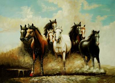 Horses 041